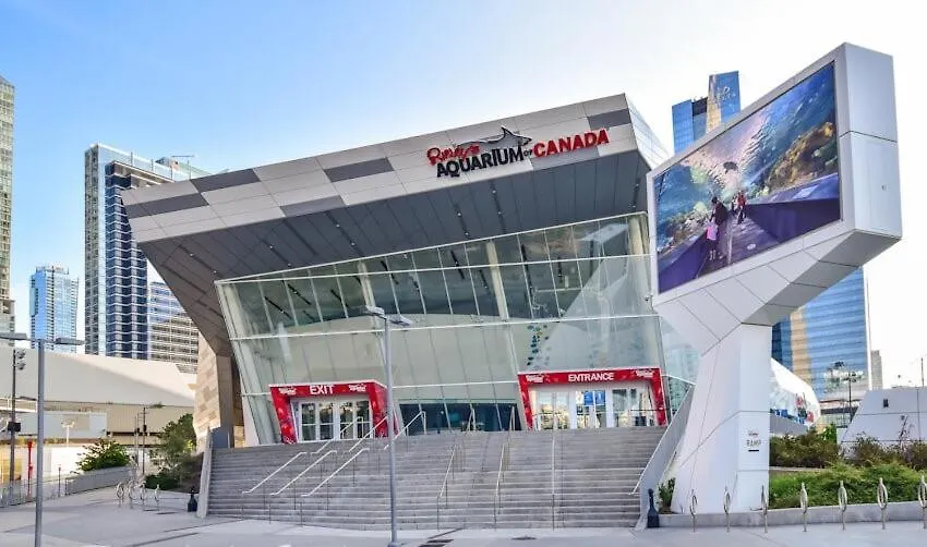 3-Bedroom Apartment In The Heart Of Downtown Toronto Walk To Shops And Attractions 0*,